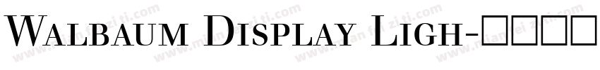 Walbaum Display Ligh字体转换